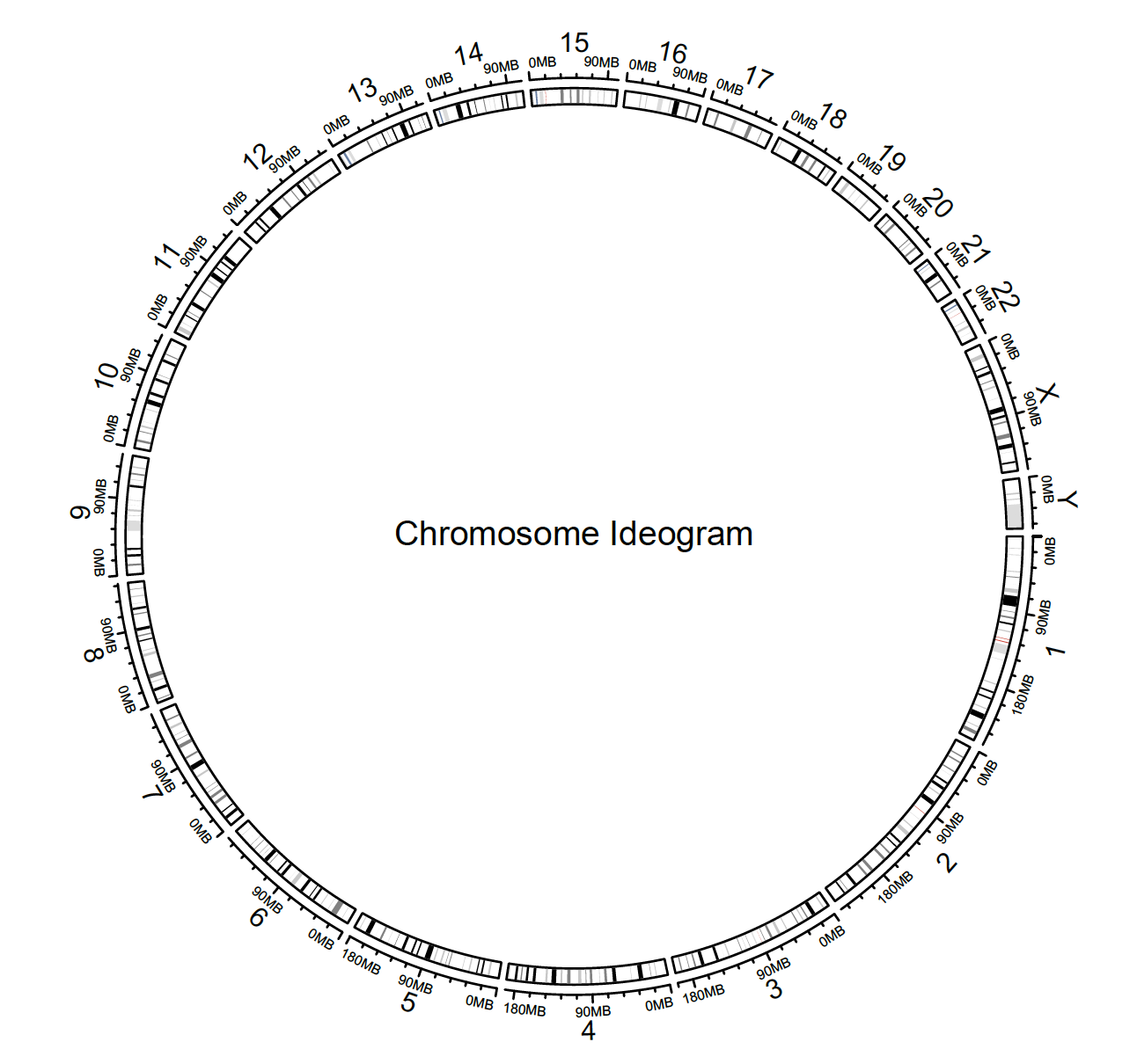 Circos Plots – circlize – Statsbook